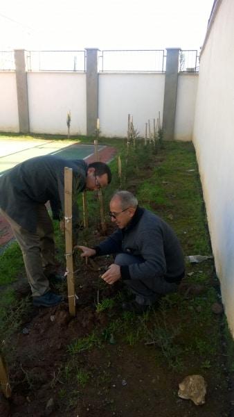 05-02-2019