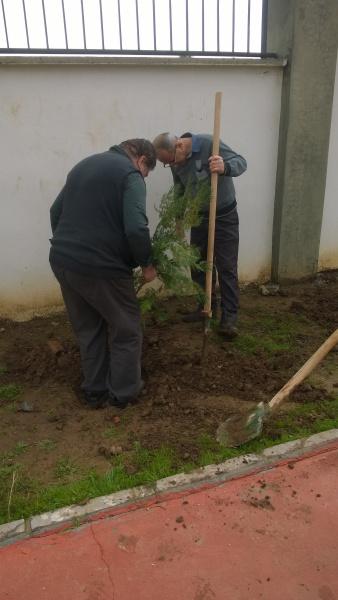 27-02-2019