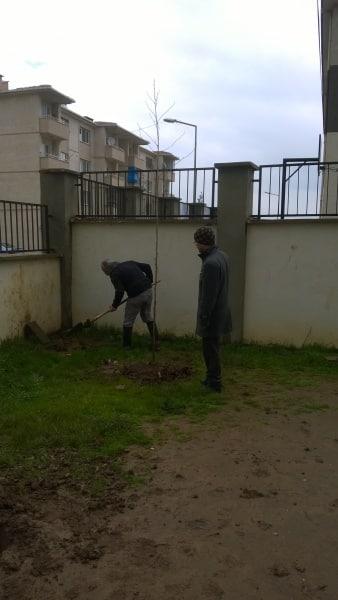05-03-2019