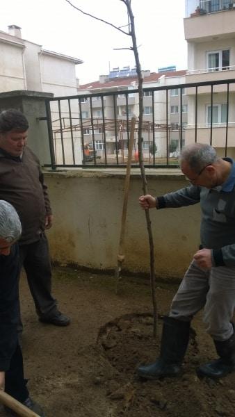 06-03-2019
